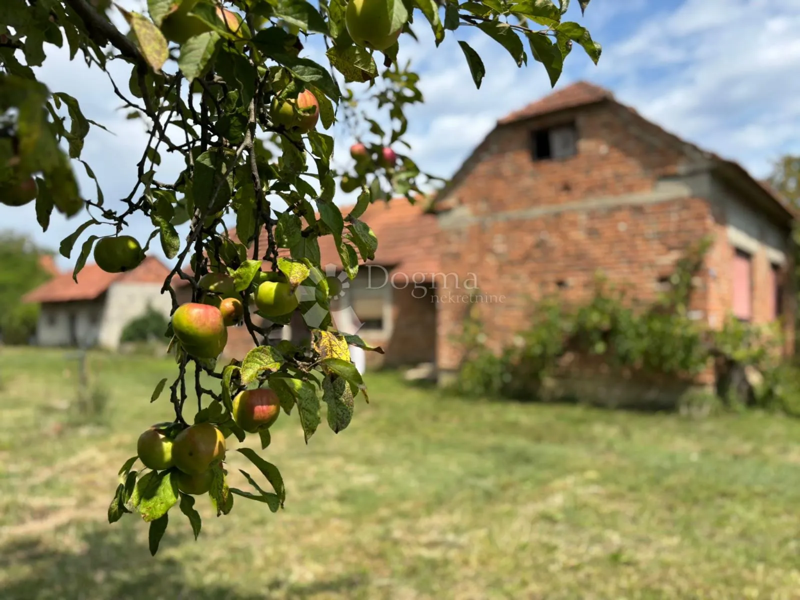 Fotografija