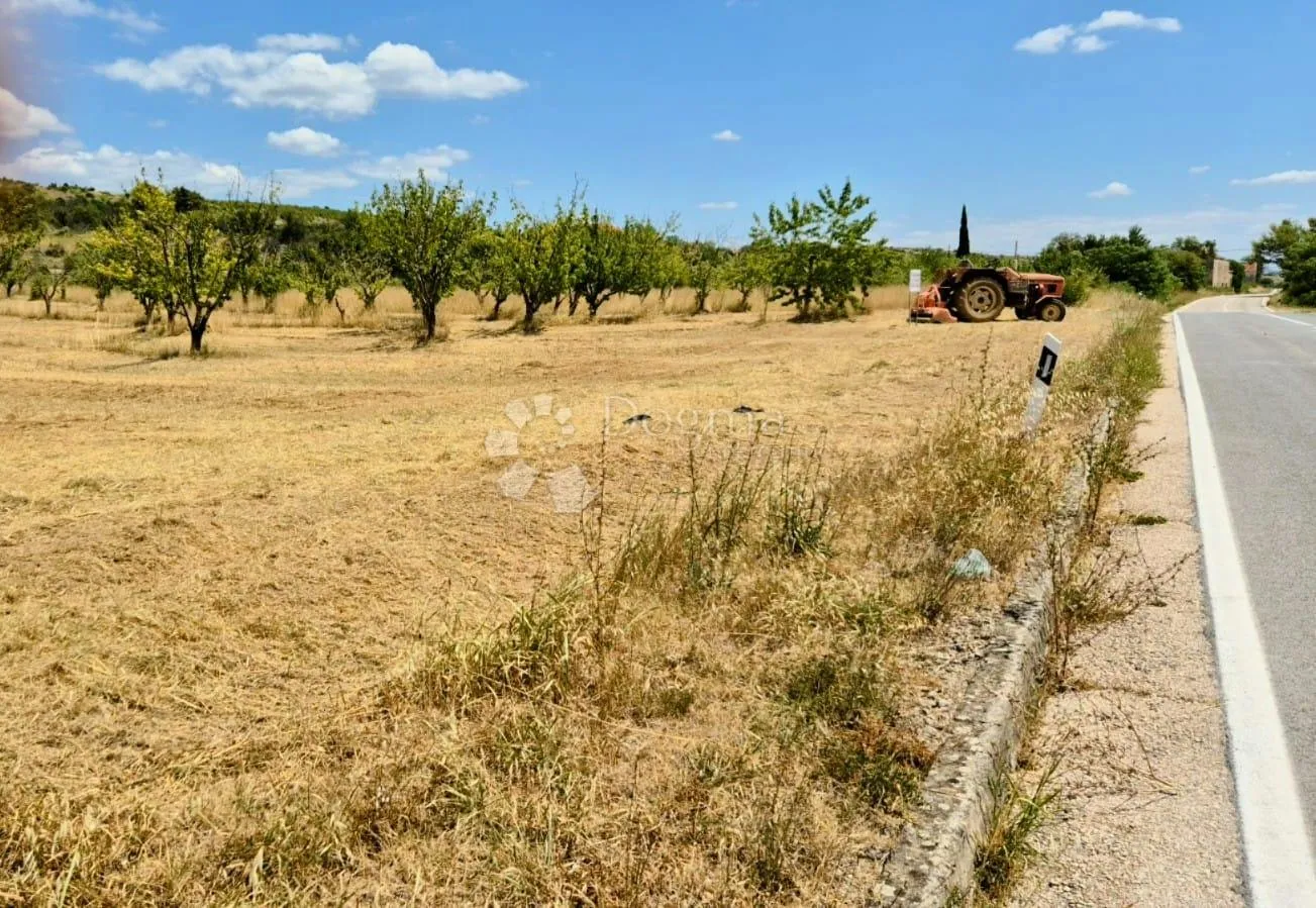 Fotografija