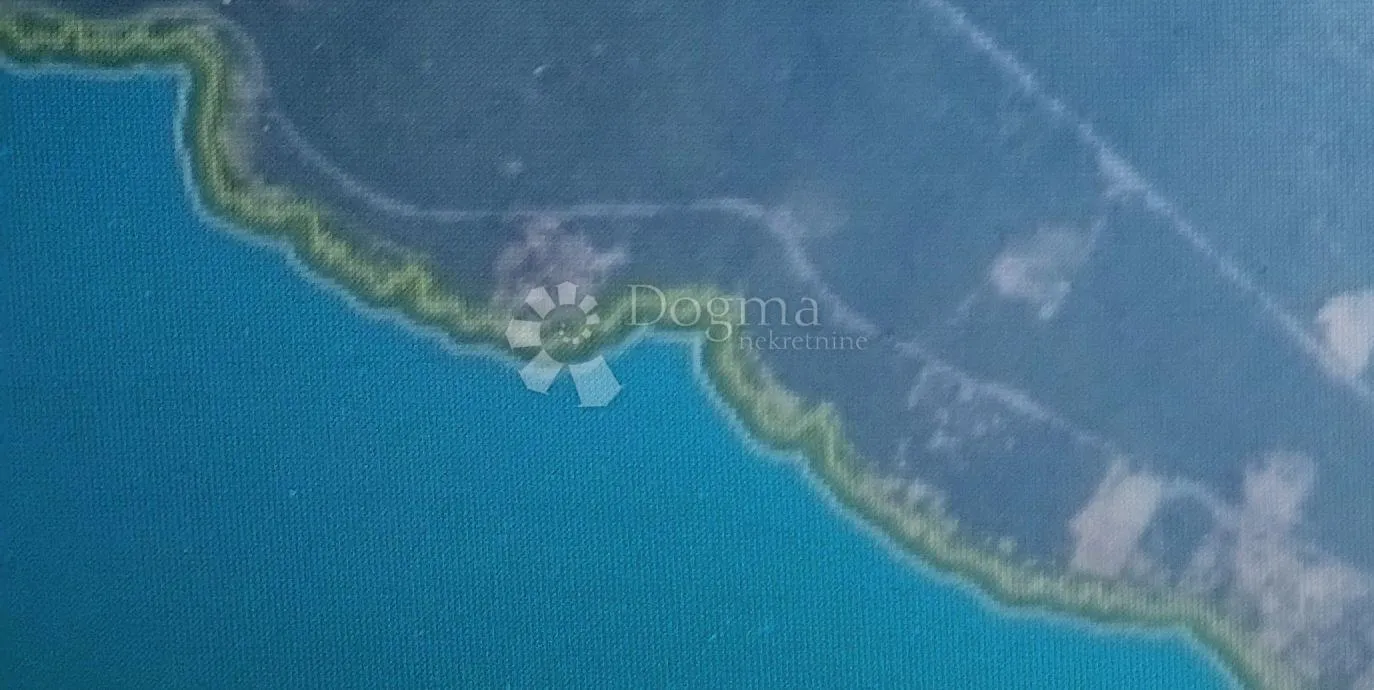Fotografija