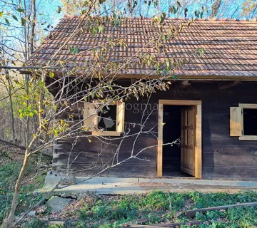 8Ha divljine, novi krov, osama - legalizirano!!! - cover