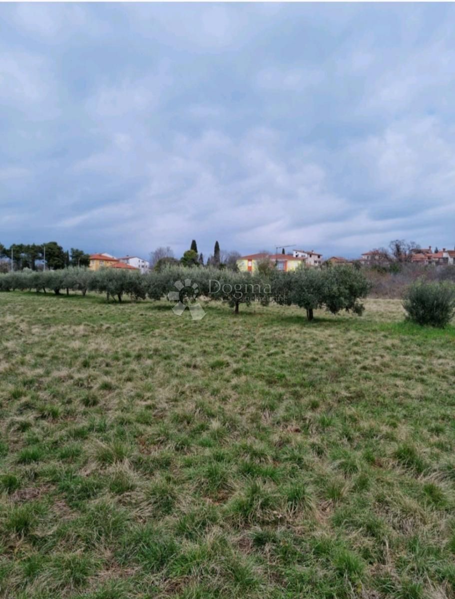 Fotografija