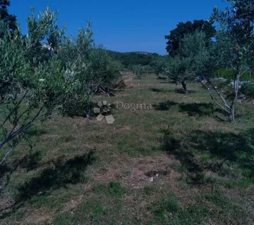 Građevinsko zemljište -1950m2-Vinjerac - cover