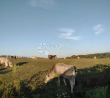 Farma i idiličnom okruženju - cover