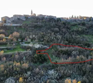 Ruševna kuća s velikim poljoprivrednim zemljištem – Buzet - cover