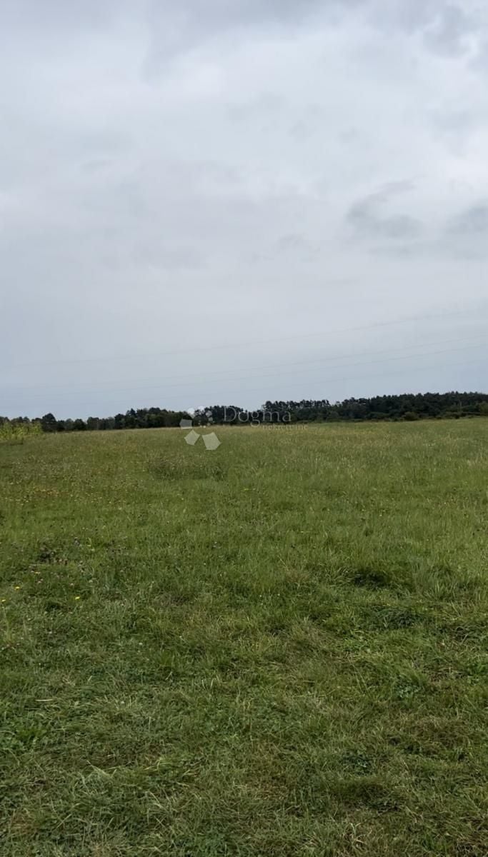 Fotografija