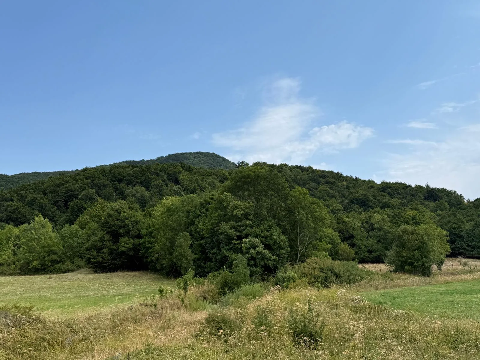 Fotografija