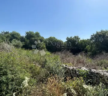 Poljoprivredno zemljište Pavićini - 259 m2 - cover
