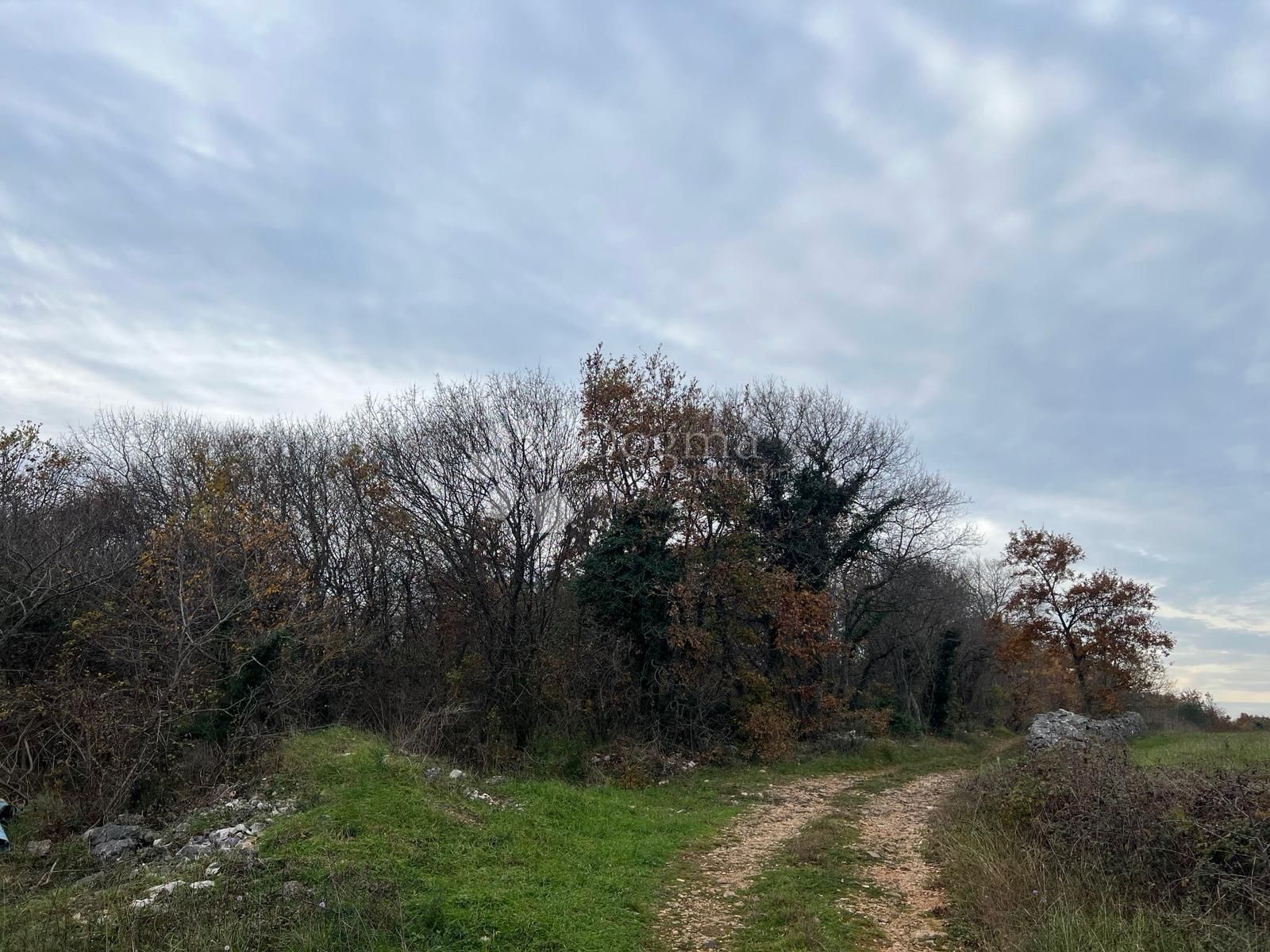 Fotografija