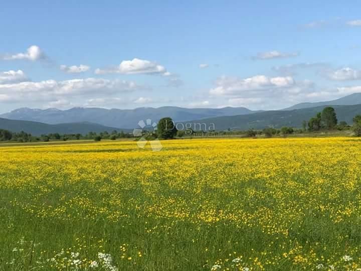 Fotografija