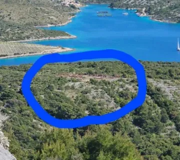 Primošten, maslinik s pogledom na more - cover