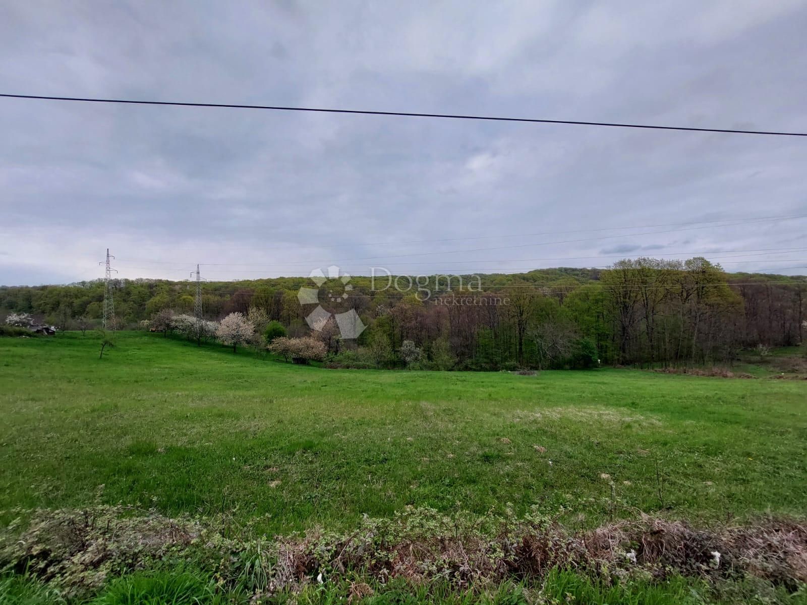 Fotografija