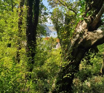 Građevinski+poljoprivredni teren u Bakarcu - cover