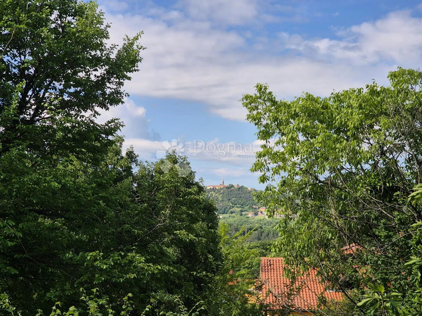 Fotografija