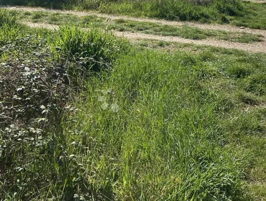 Fotografija