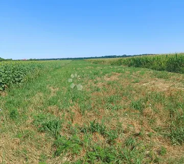 Poljoprivredno zemljište u Bilju - 2937 m², savršena prilika! - cover