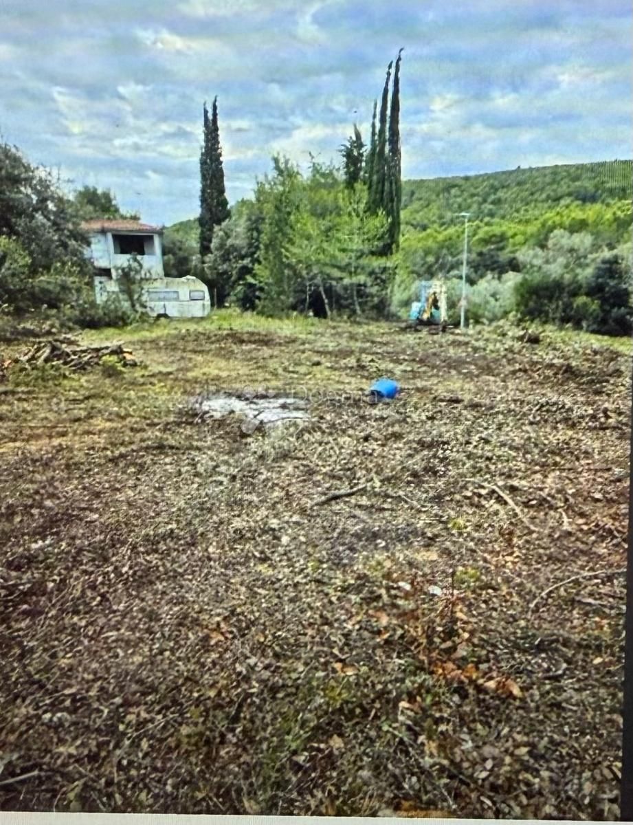 Fotografija