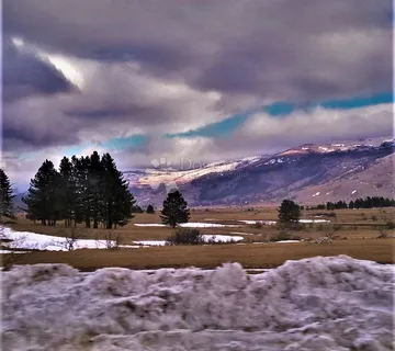 ZEMLJIŠTE S POTENCIJALOM - cover