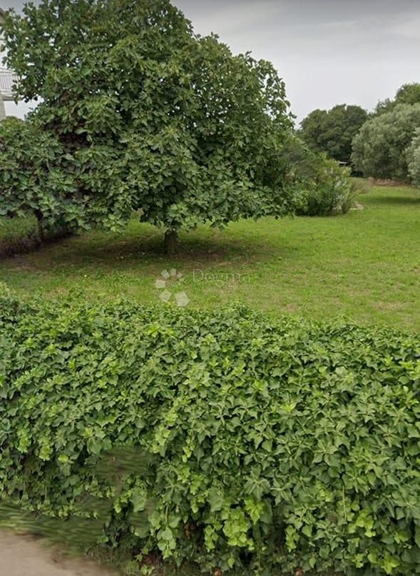 Fotografija
