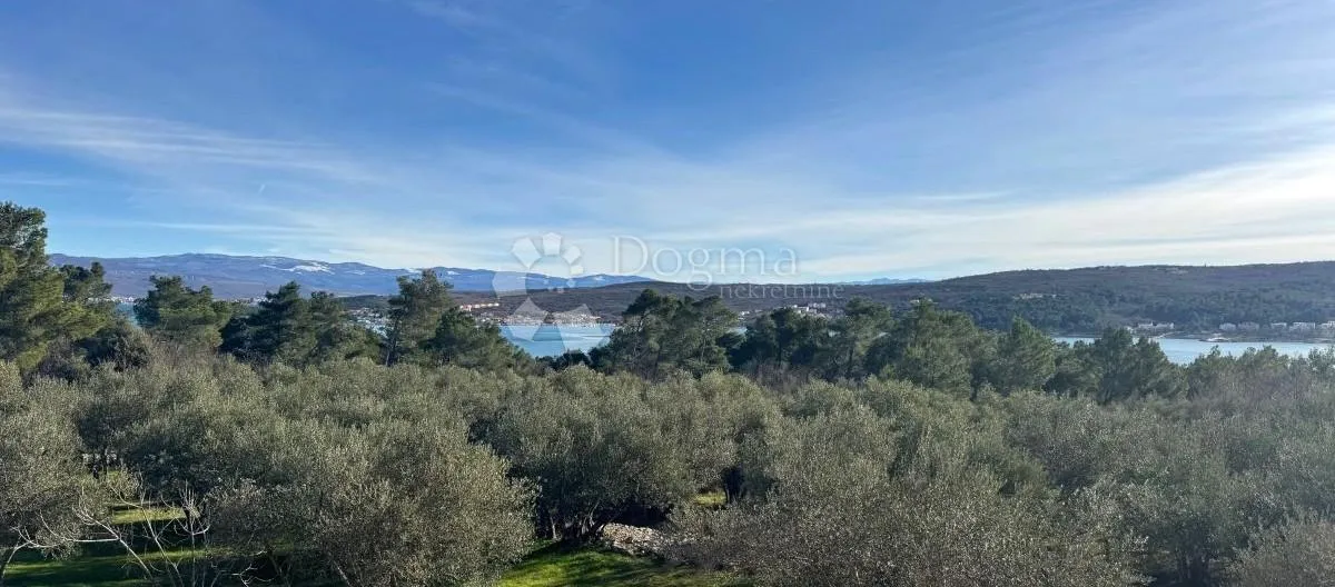 Fotografija