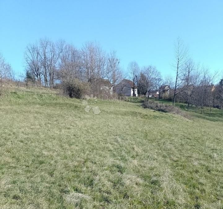 Fotografija