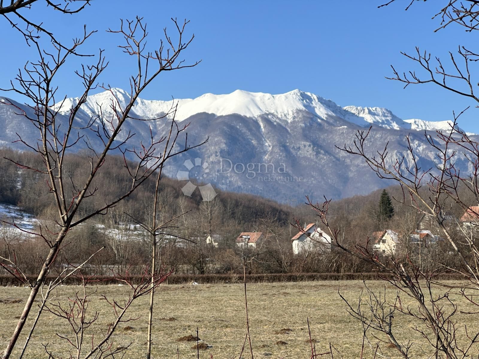 Fotografija