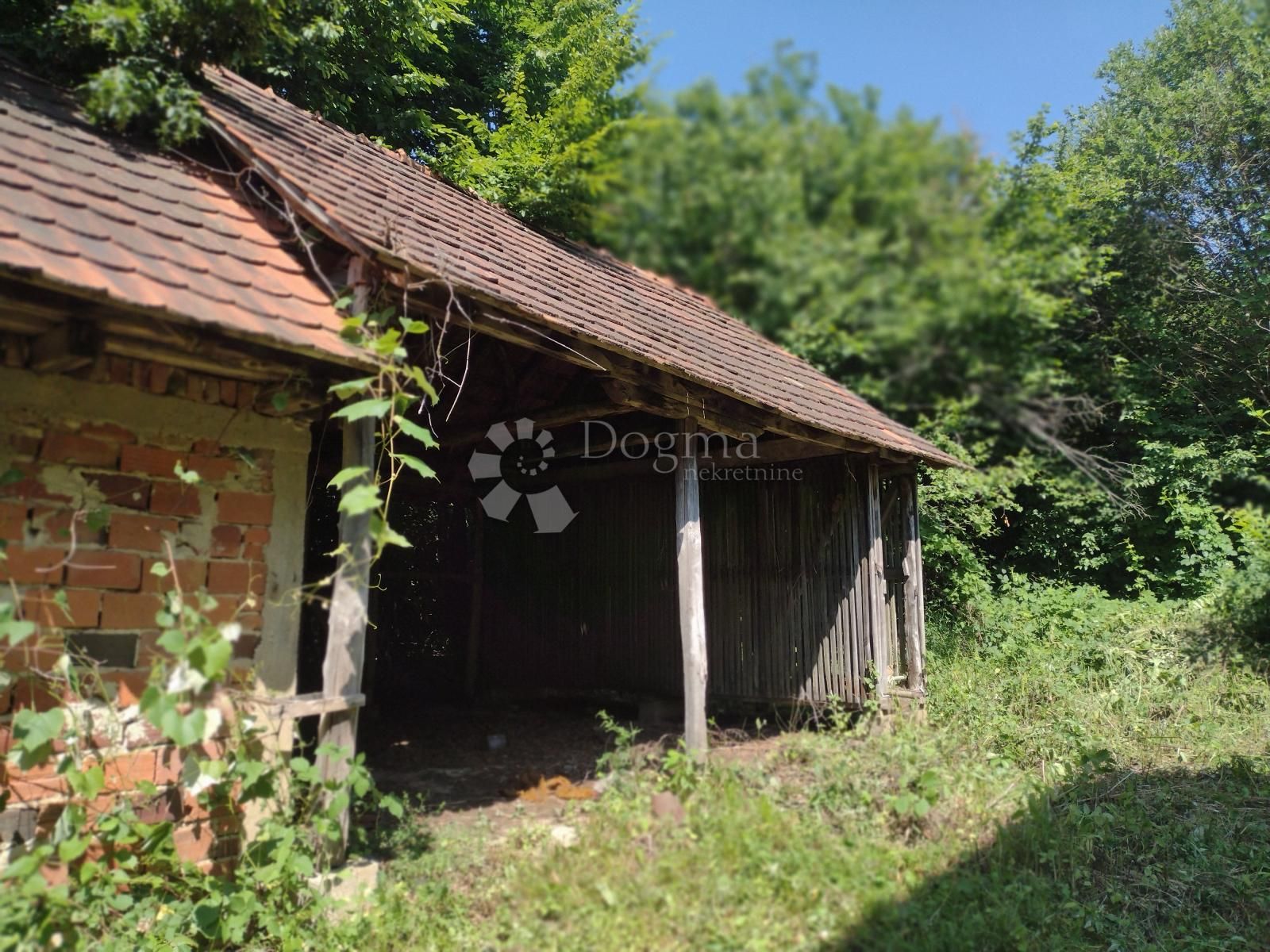 Fotografija