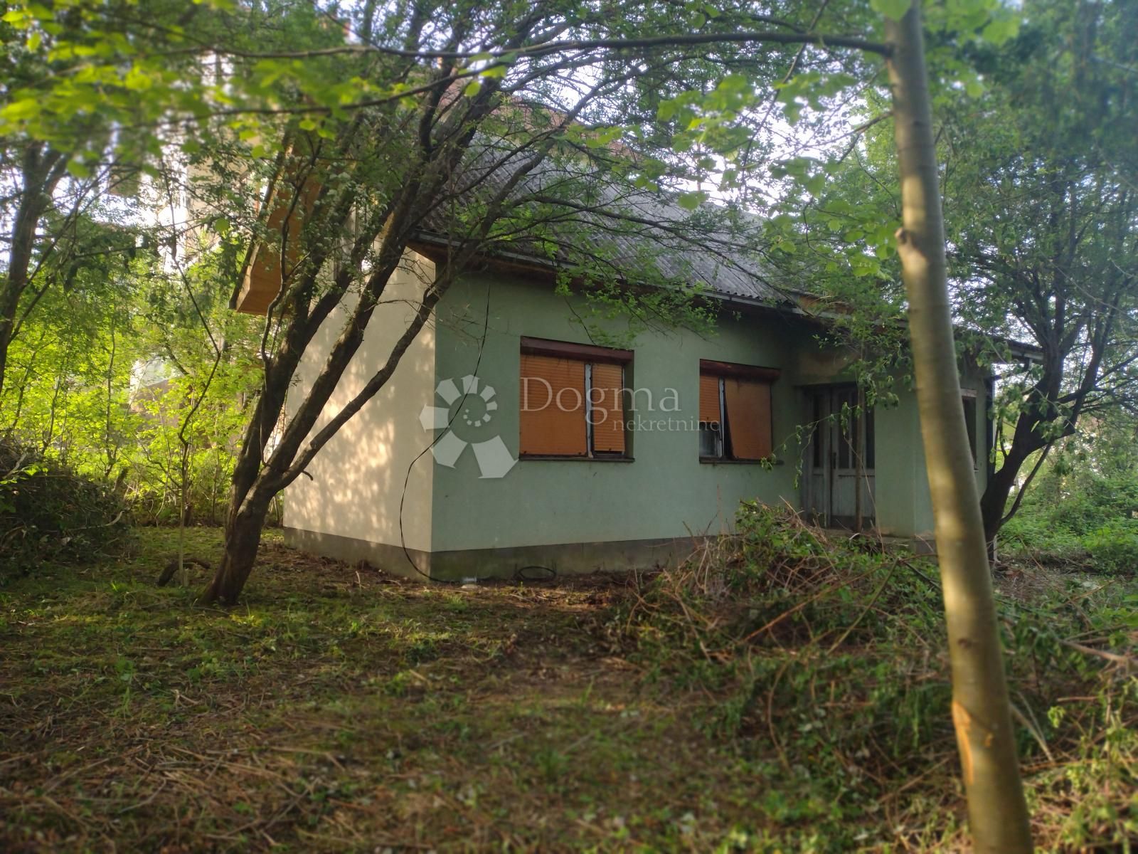 Fotografija