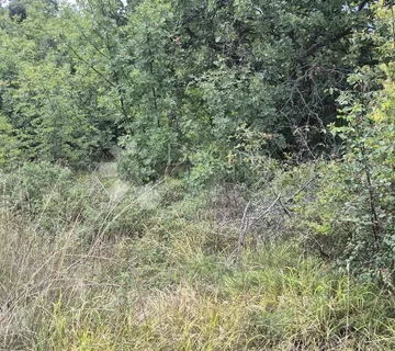 Prodaje se poljoprivredno zemljište - Kavran 1173 m2 - cover