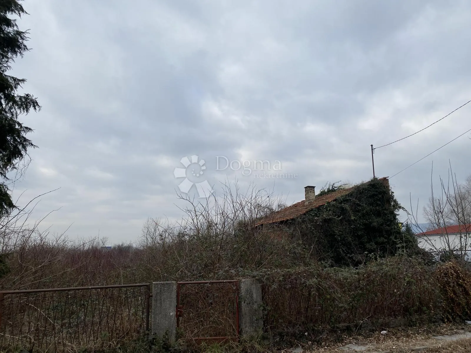 Fotografija