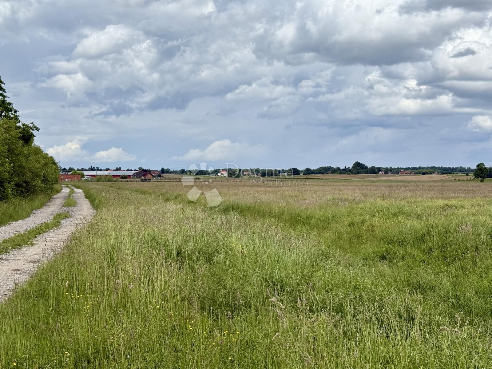 Fotografija