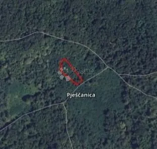 Šuma Abez bogata kestenima  - cover