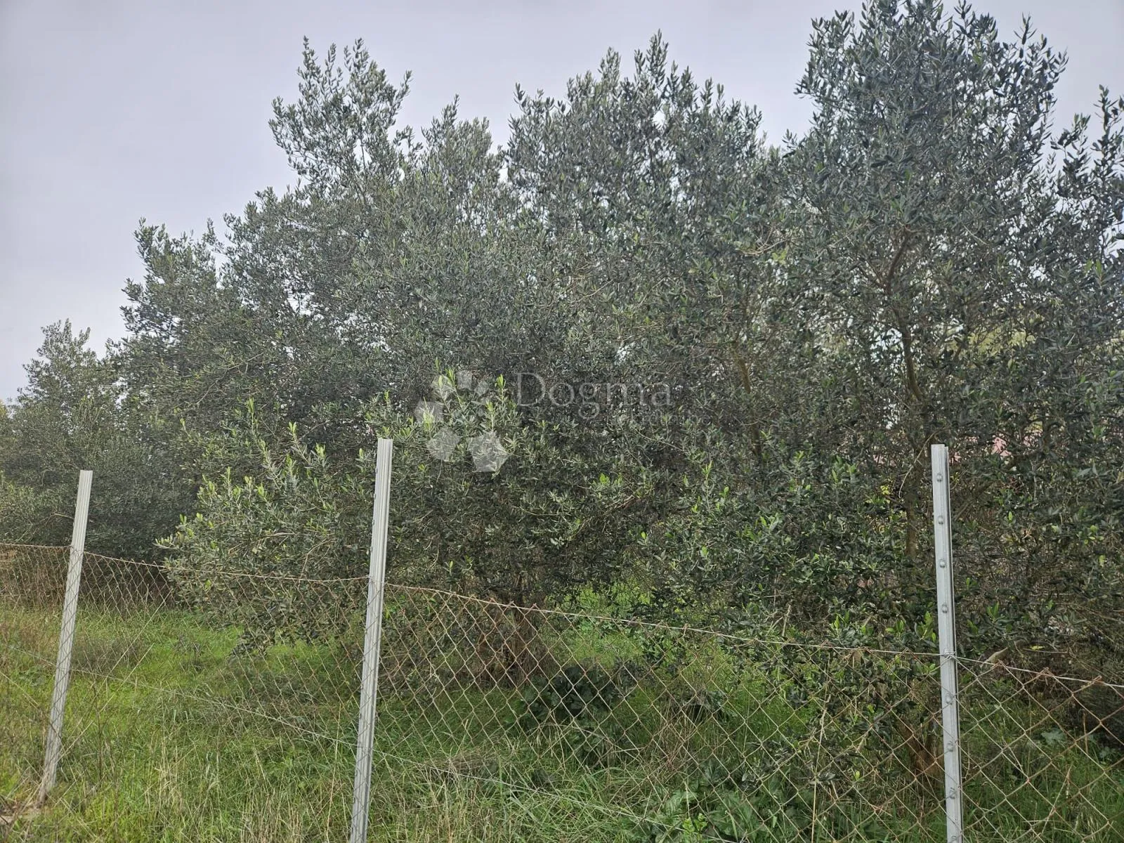 Fotografija