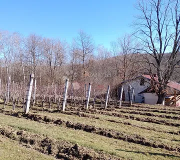 BEKTEŽ - VINOGRAD S VIKENDICOM U  BLIZINI RIBNJAKA - cover