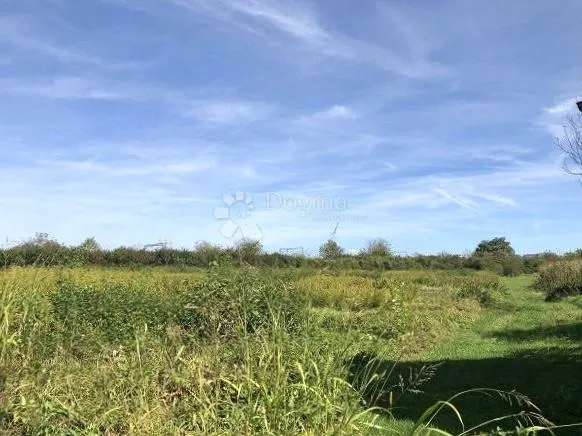 Fotografija