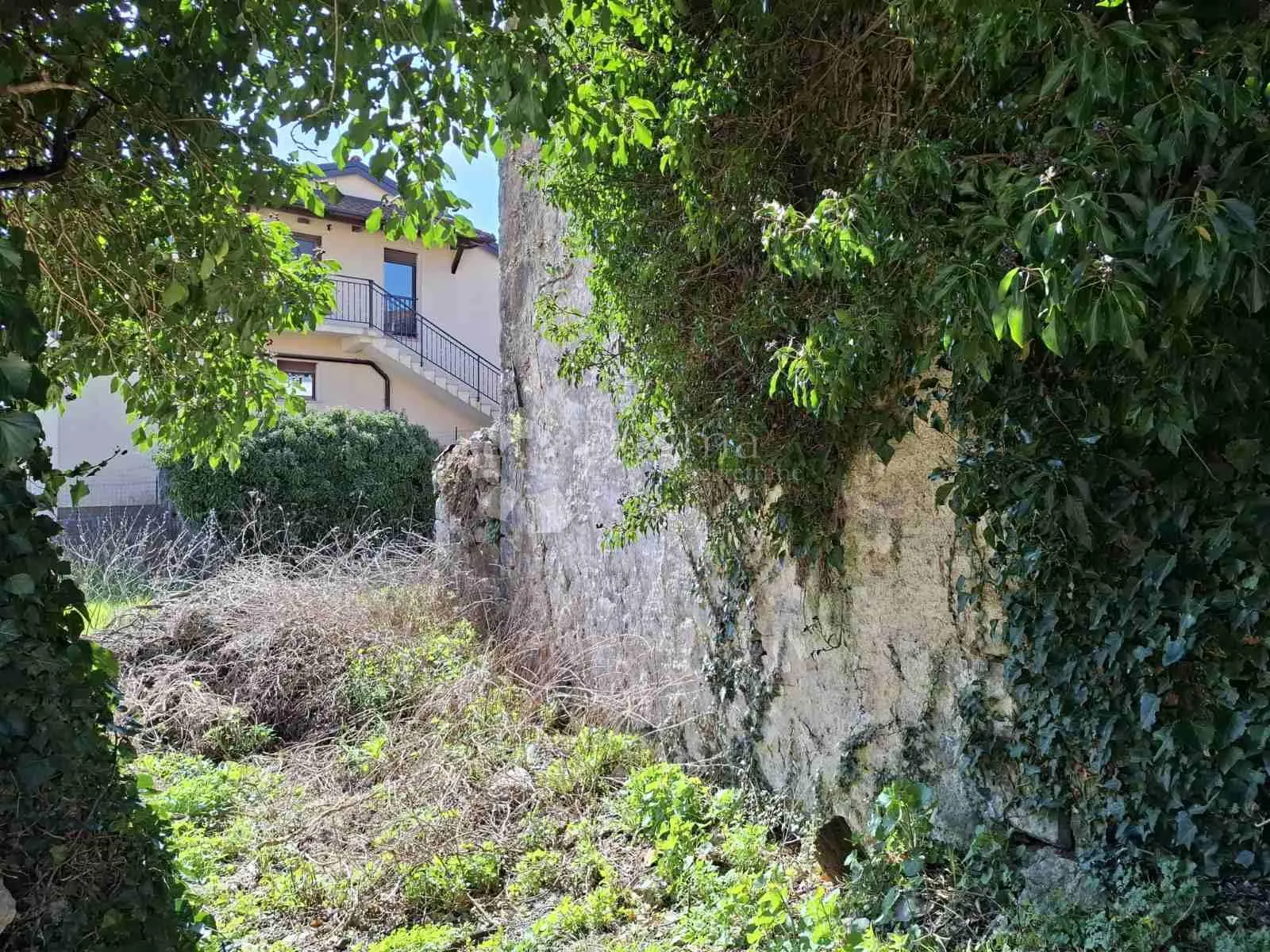 Fotografija