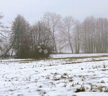 Belica zove: prostrano zemljište za dom koji ste oduvijek željeli - cover
