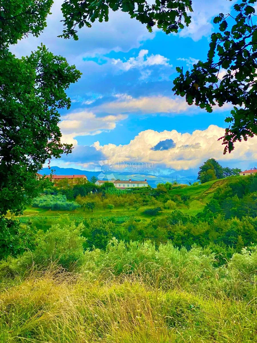 Fotografija