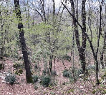 Matulji -10471m2,teren za više obiteljskih kuća - cover