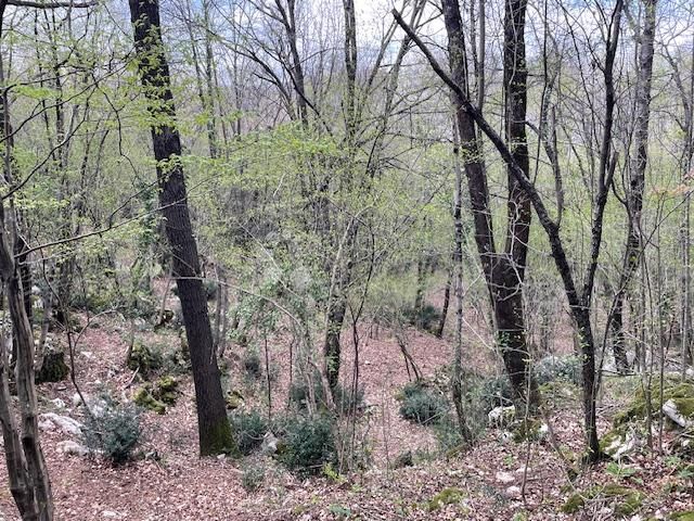 Fotografija