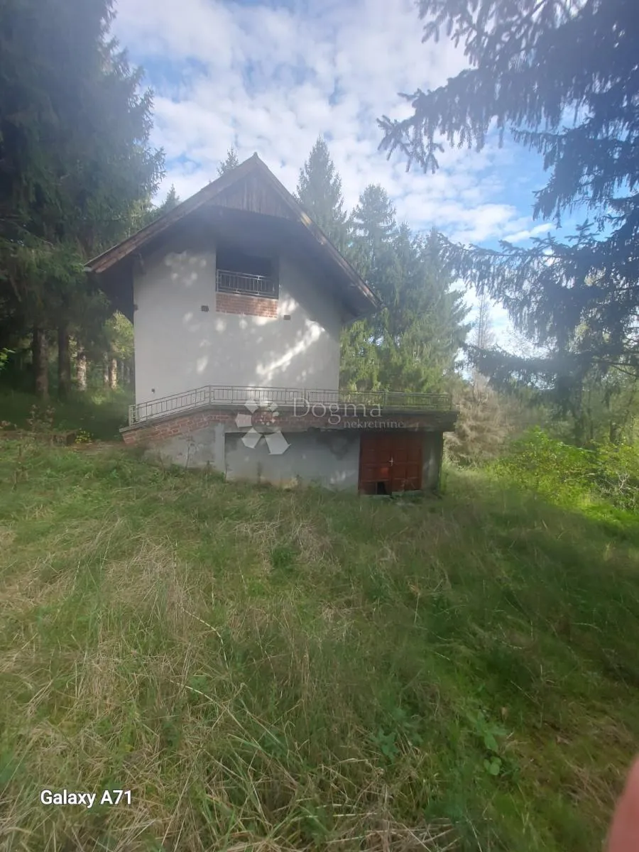 Fotografija