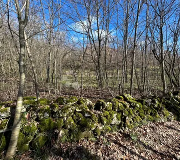 Veliko zemljište u Kosima - cover