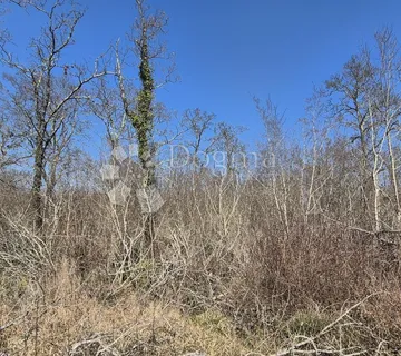 Šumska zemljište i ostaci starog vinograda skriveni od pogleda na 7806 m2 - cover