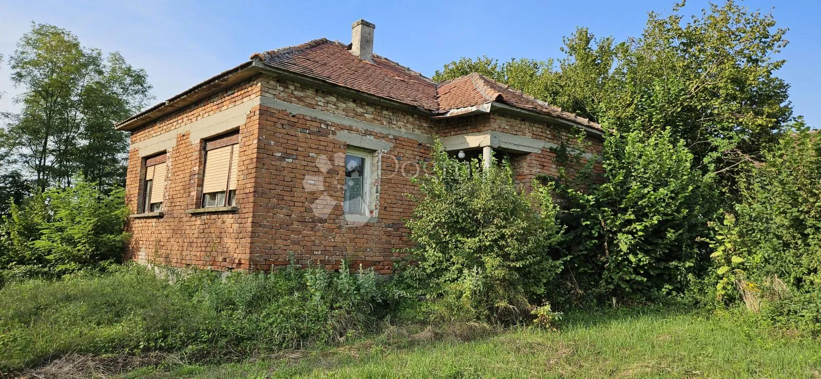 Fotografija