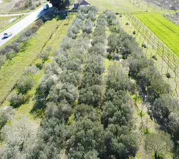 Murvica kraj Zadra, 550 m² vrhunska lokacija - cover