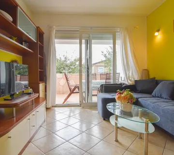 NOVIGRAD OKOLICA - PREKRASAN STAN 200 METARA DO MORA - cover