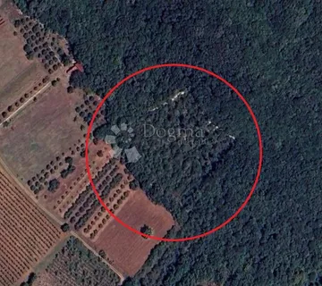 ROVINJ – poljoprivredna parcela blizu biciklističke staze - cover