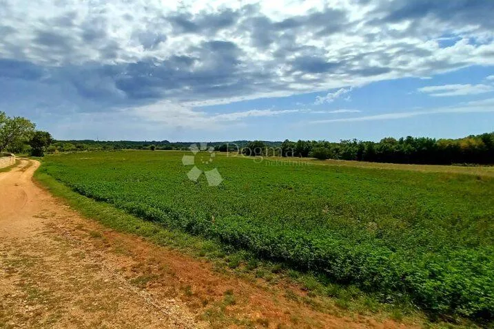 Fotografija