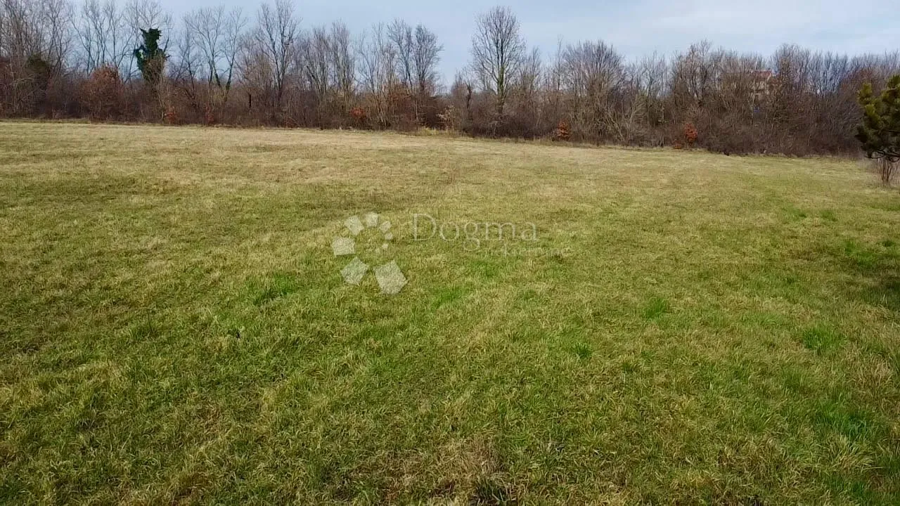 Fotografija