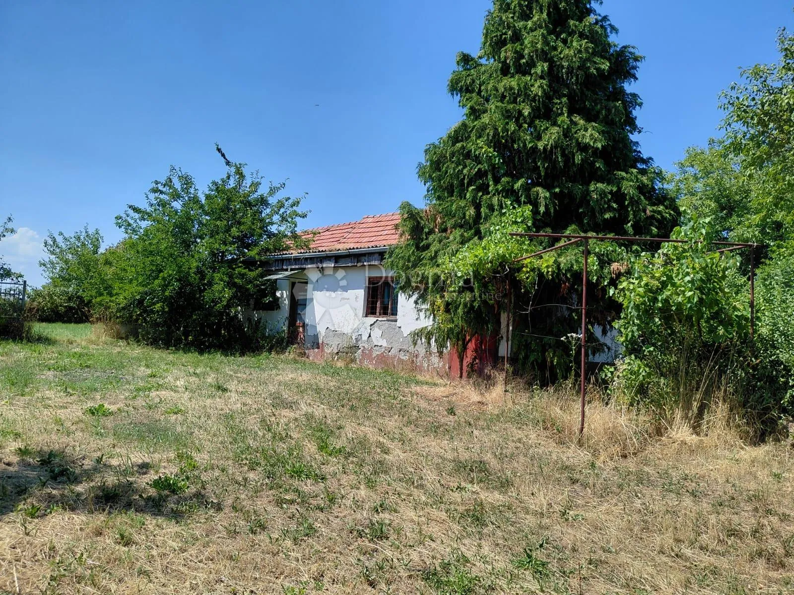 Fotografija