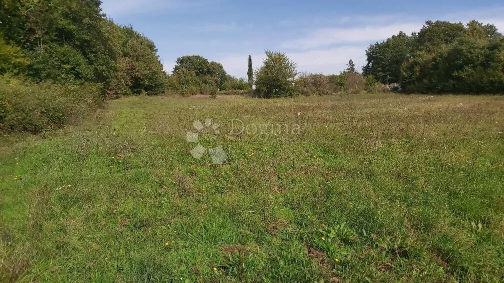 Fotografija